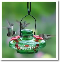 Hummingbird Feeders