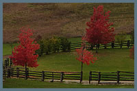 Fall Countryside